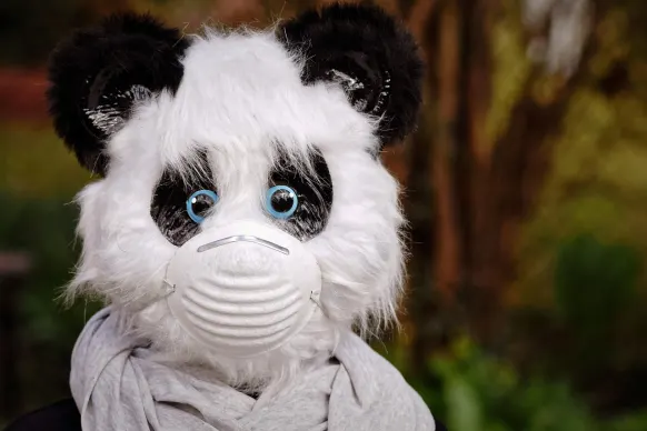 Stay Kaszinó Támogatás